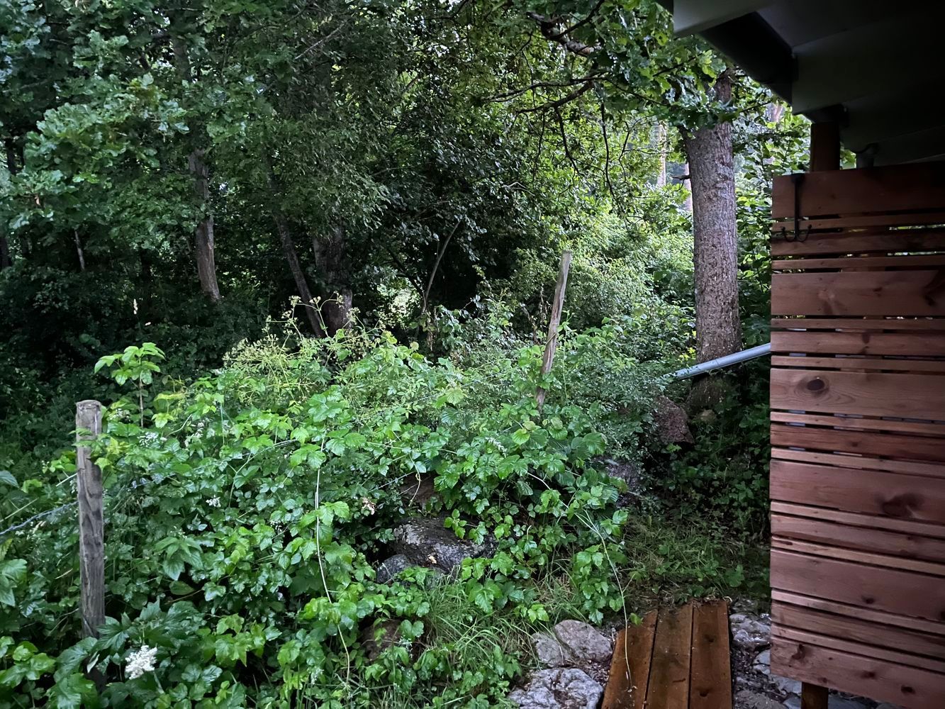 Mysig stuga nära Sandvik Öland – bild 9 av 24