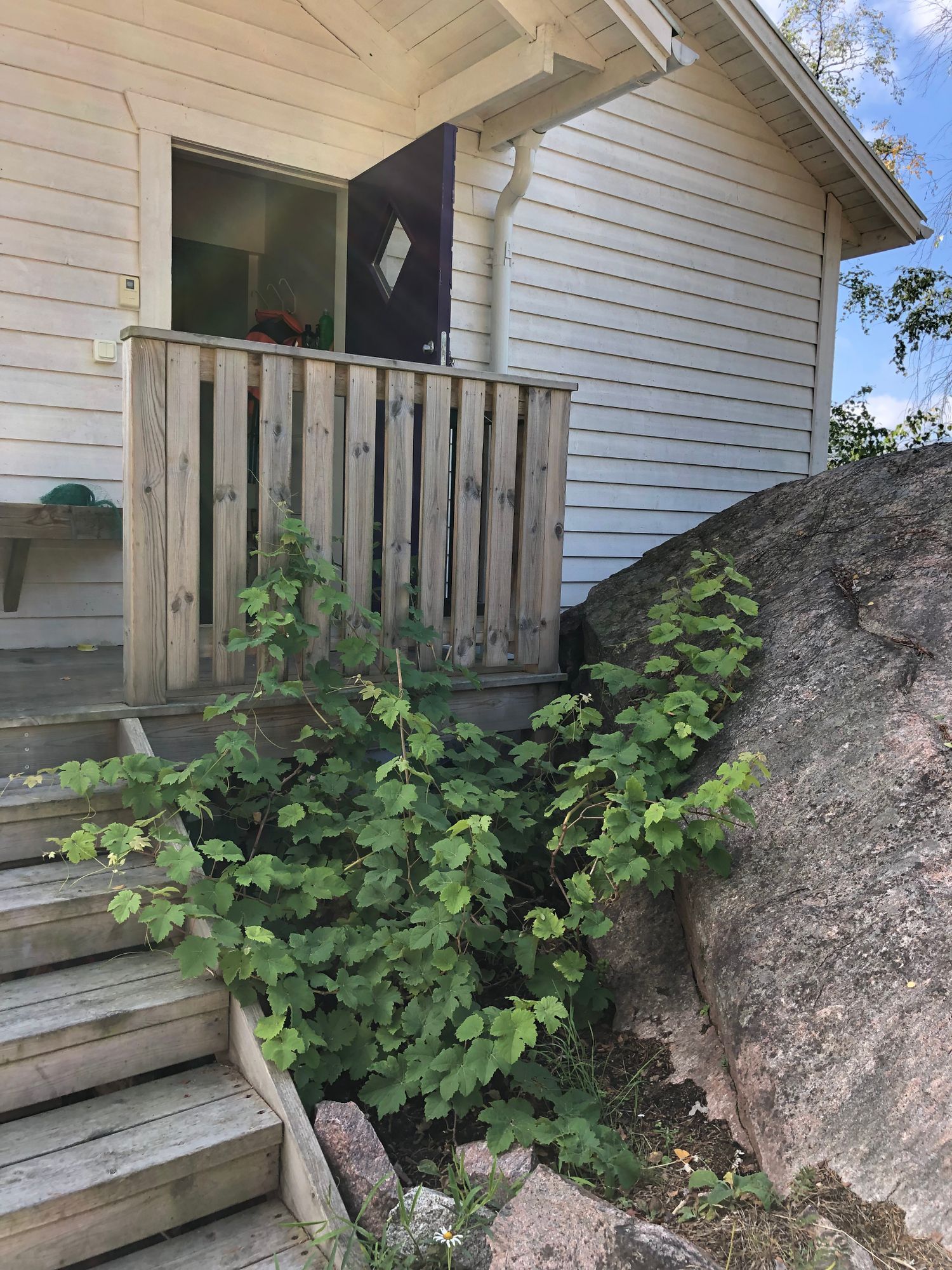 Stuga Stockholms skärgård, egen brygga 6 bäddar – bild 7 av 22
