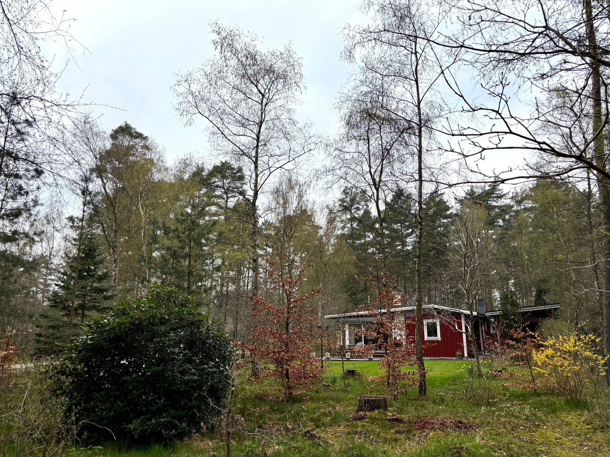Sjönära boende mitt i skogen – bild 17 av 24