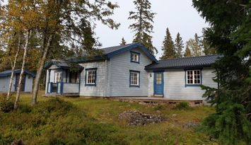 Vandra i Sälenfjällen.