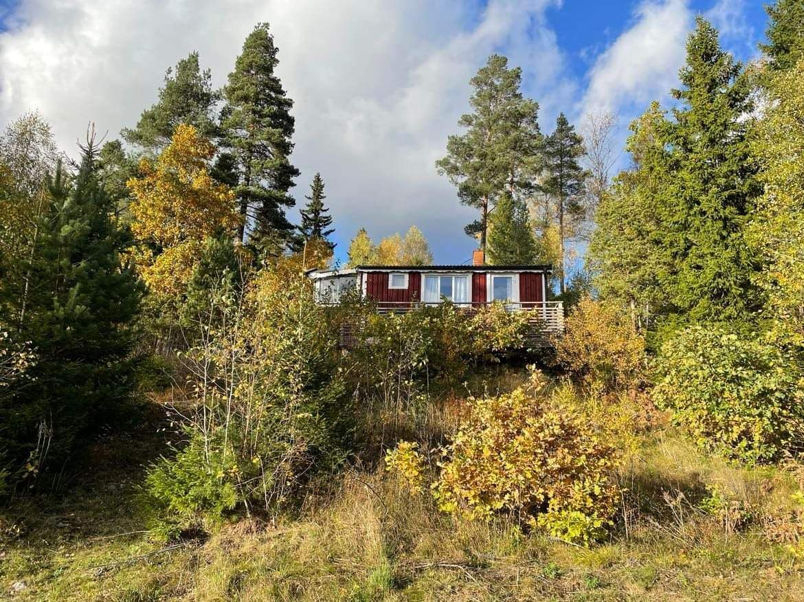 Liten stuga med sjöutsikt – bild 20 av 22