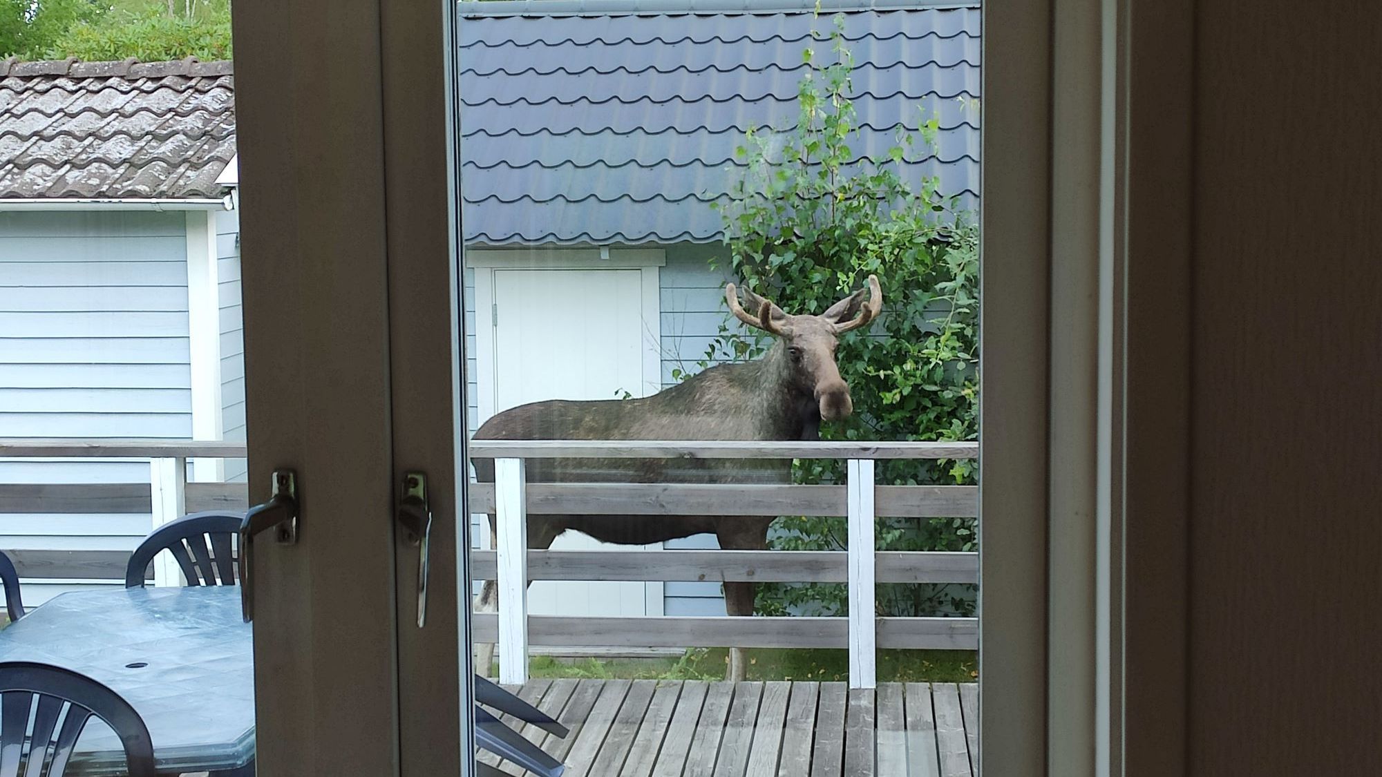 Rymlig stuga i Svanesund nära badplats | SE09163 – bild 2 av 24
