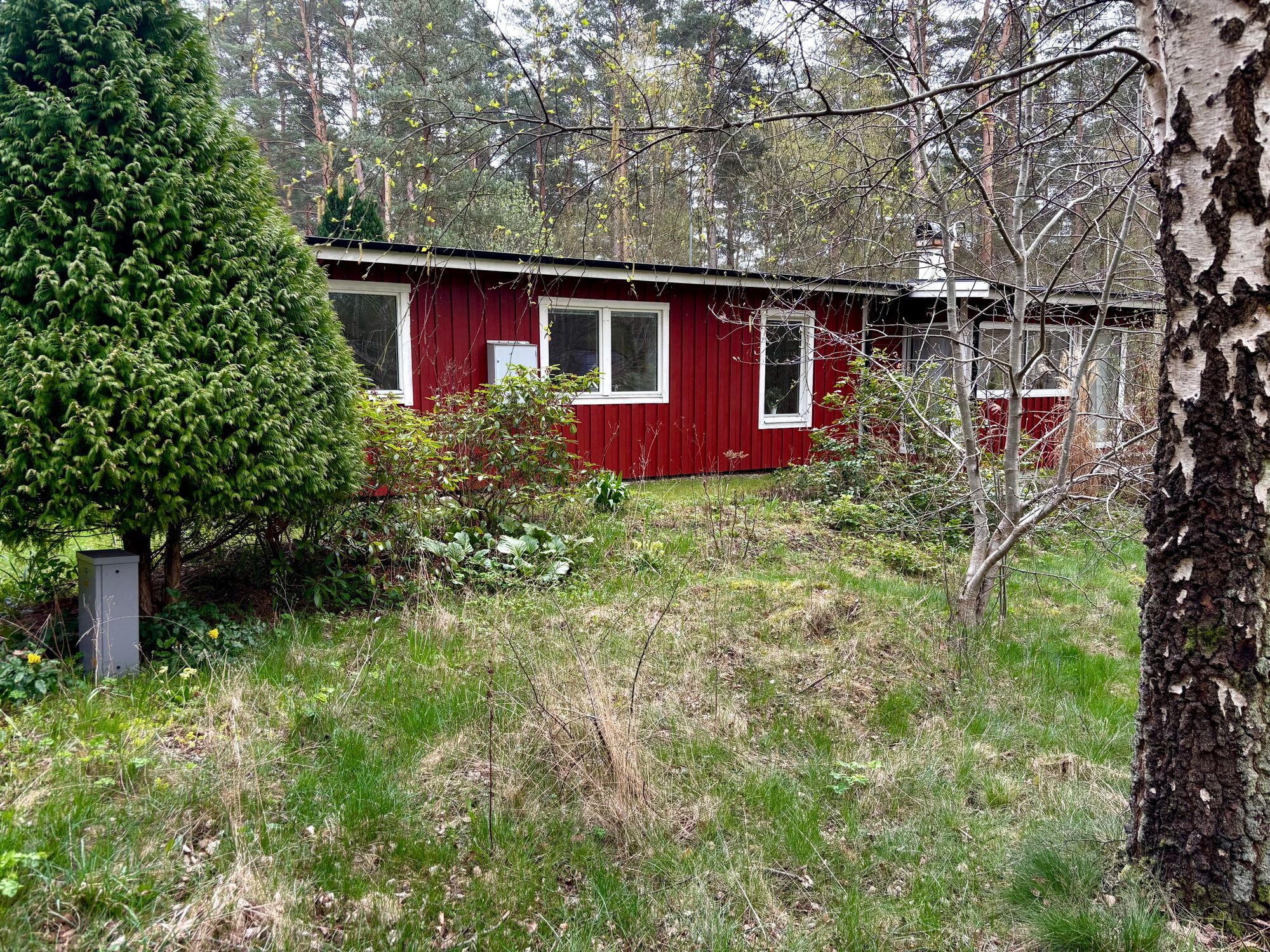 Sjönära boende mitt i skogen – bild 16 av 24