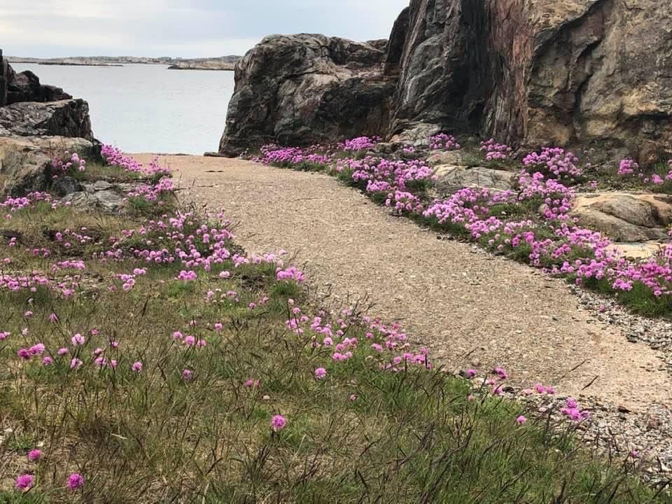 Klädesholmen, en plats att trivas på! – bild 20 av 21
