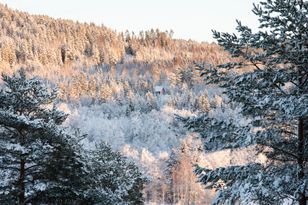 Torpet i Sjö, fint hus med enskilt läge