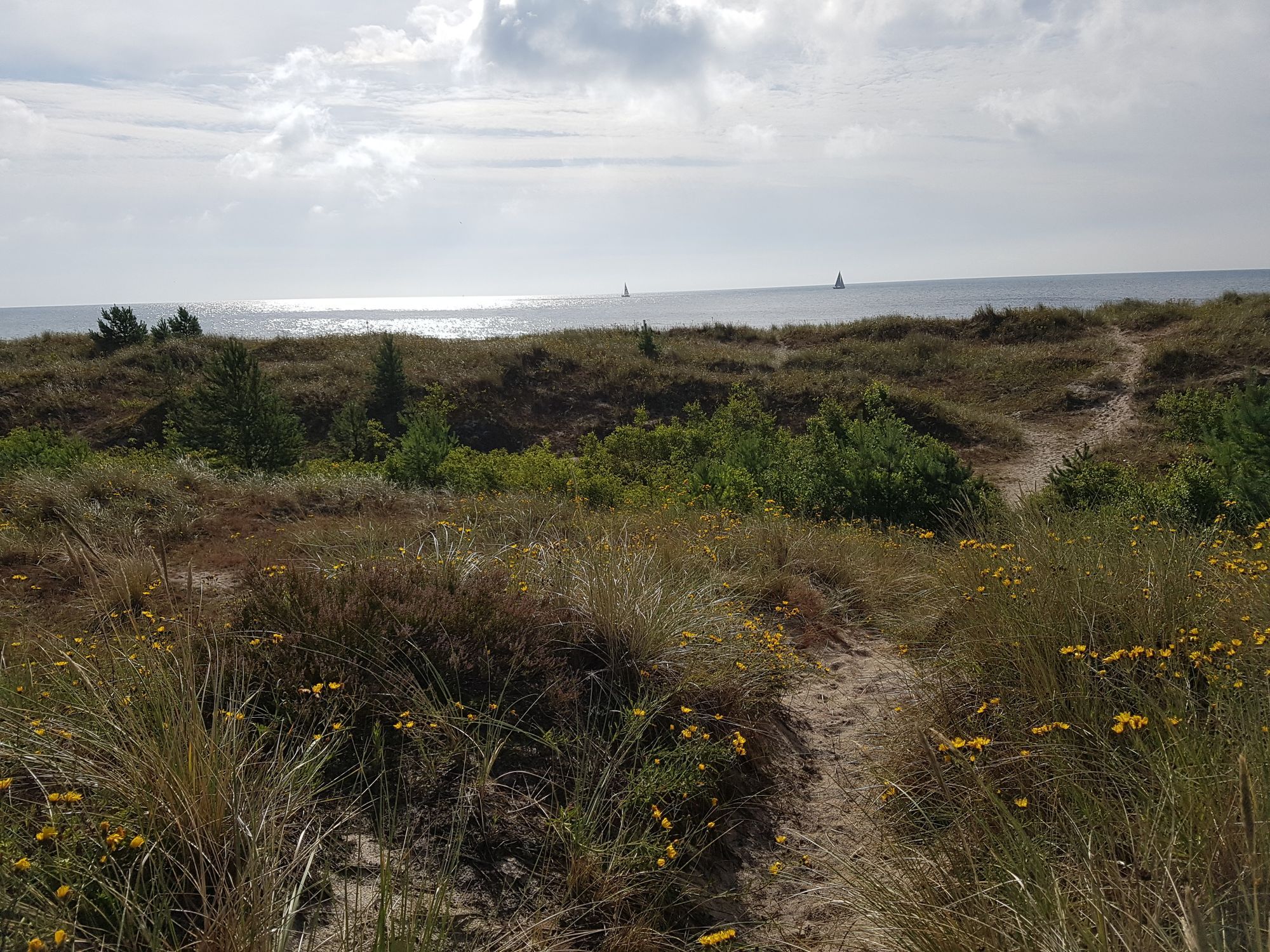 Österlen: Sommarhus vid Sandhammarens strand – bild 14 av 14