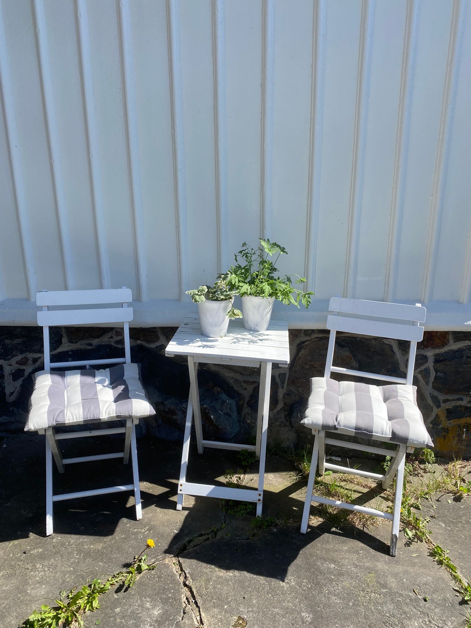 Sommarboende på Bohus-Björkö – bild 13 av 17