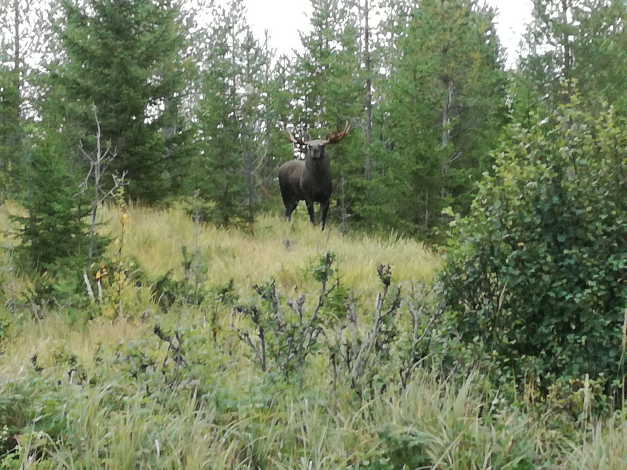 Hus  södra Jämtland – bild 18 av 24