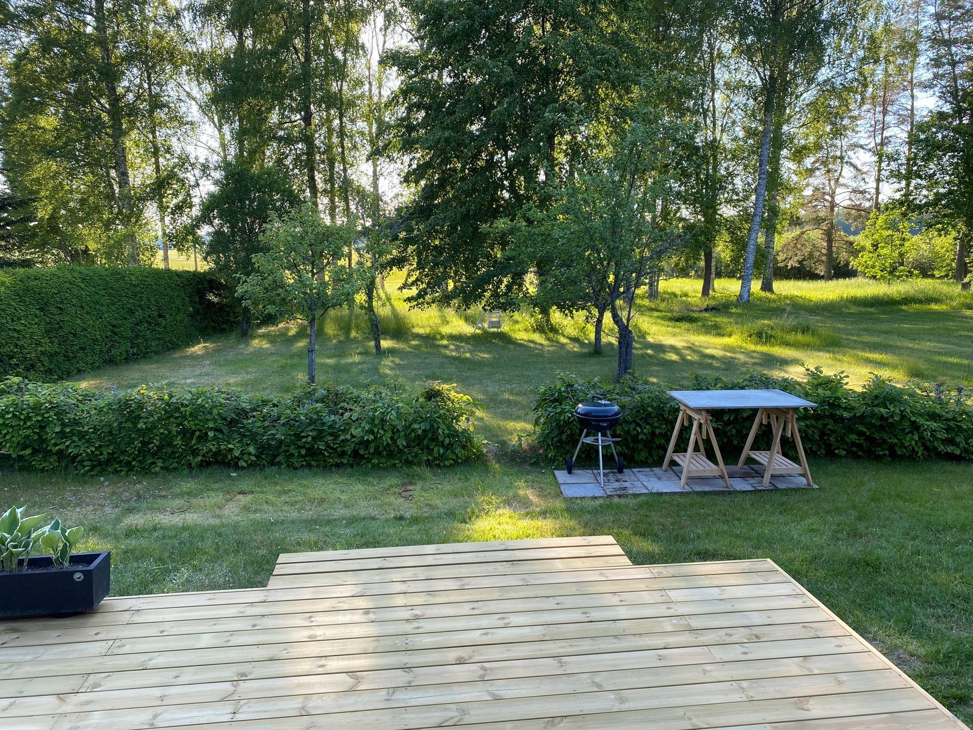 Sjöläge i hjärtat av Färnebofjärdens nationalpark – bild 3 av 24