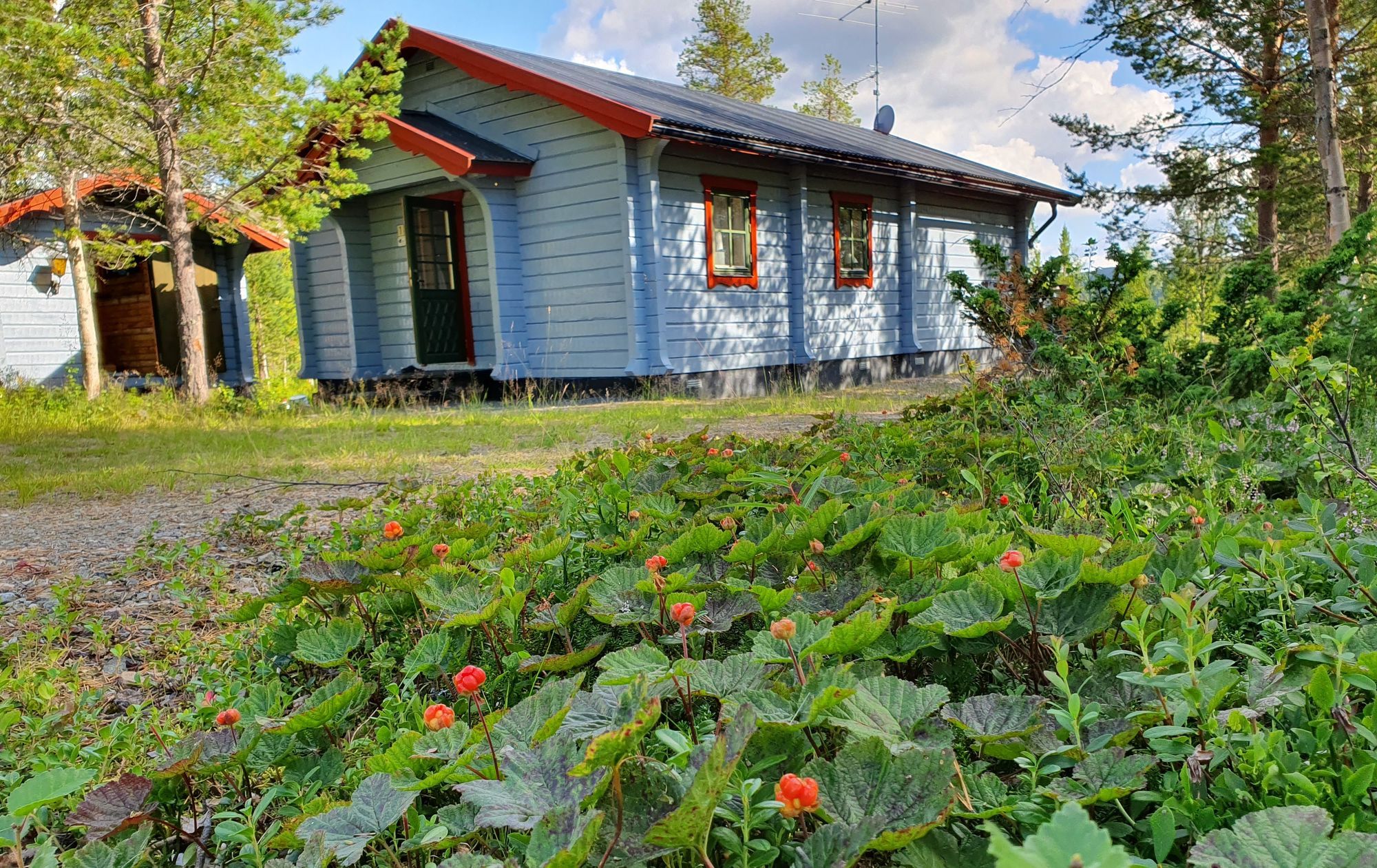 Stuga i Lofsdalen uthyres – bild 10 av 10