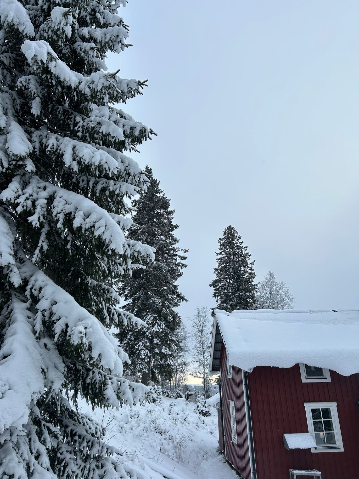 Mysig fjällstuga med ski-in/ski-out 🏔️ – bild 24 av 24