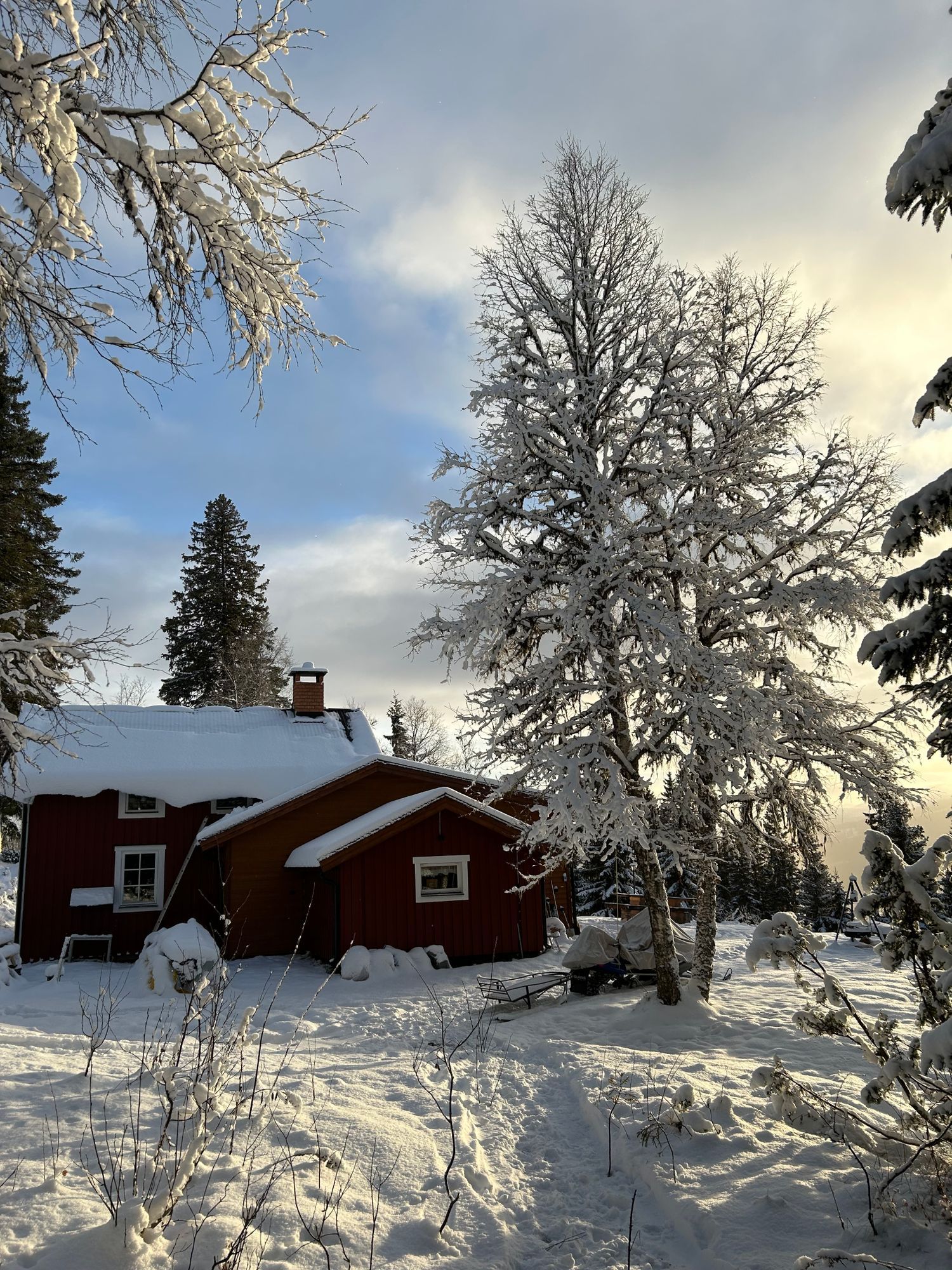 Mysig fjällstuga med ski-in/ski-out 🏔️ – bild 22 av 24
