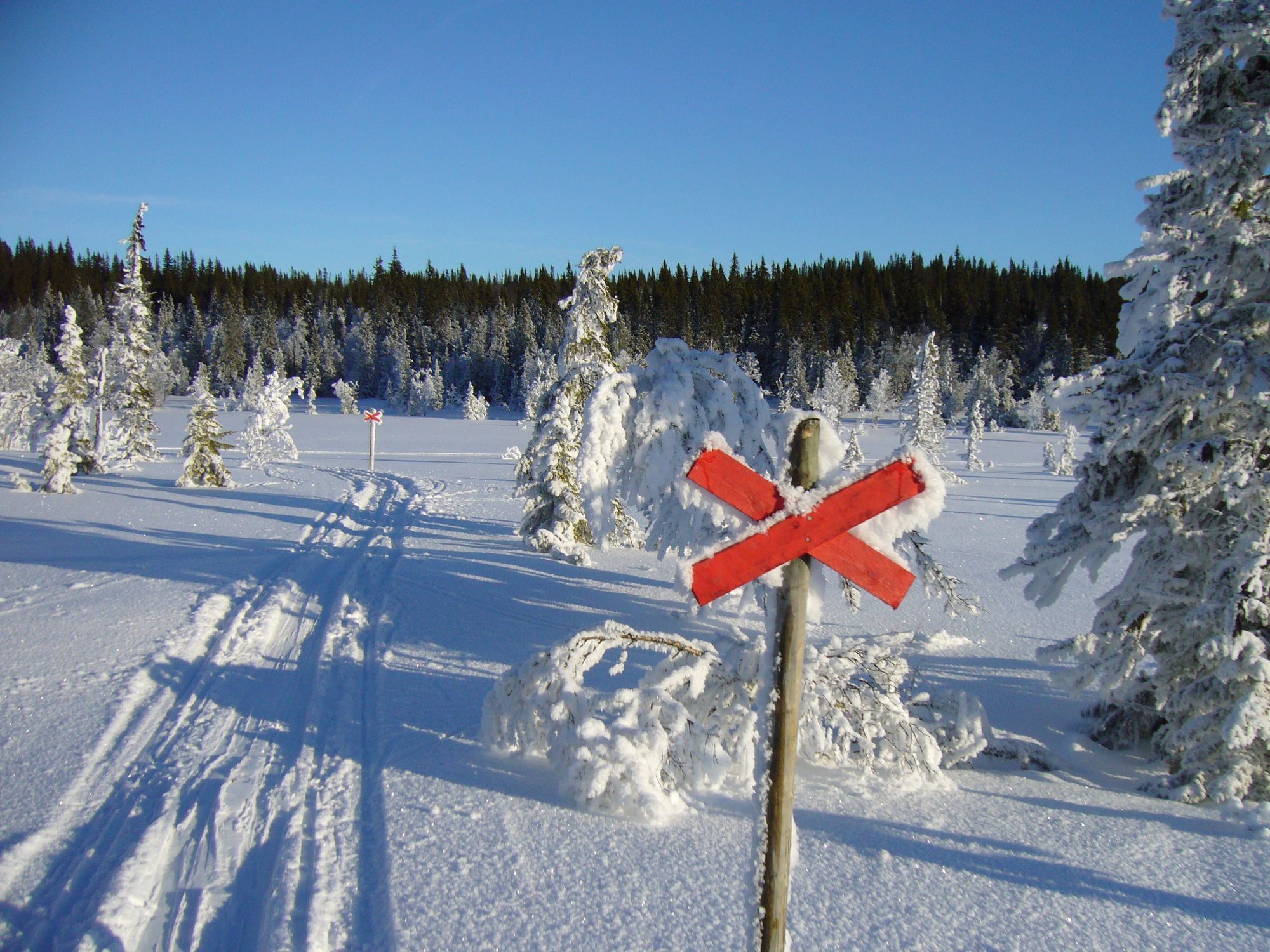 Vårt Paradis i Edsåsdalen! – bild 10 av 13