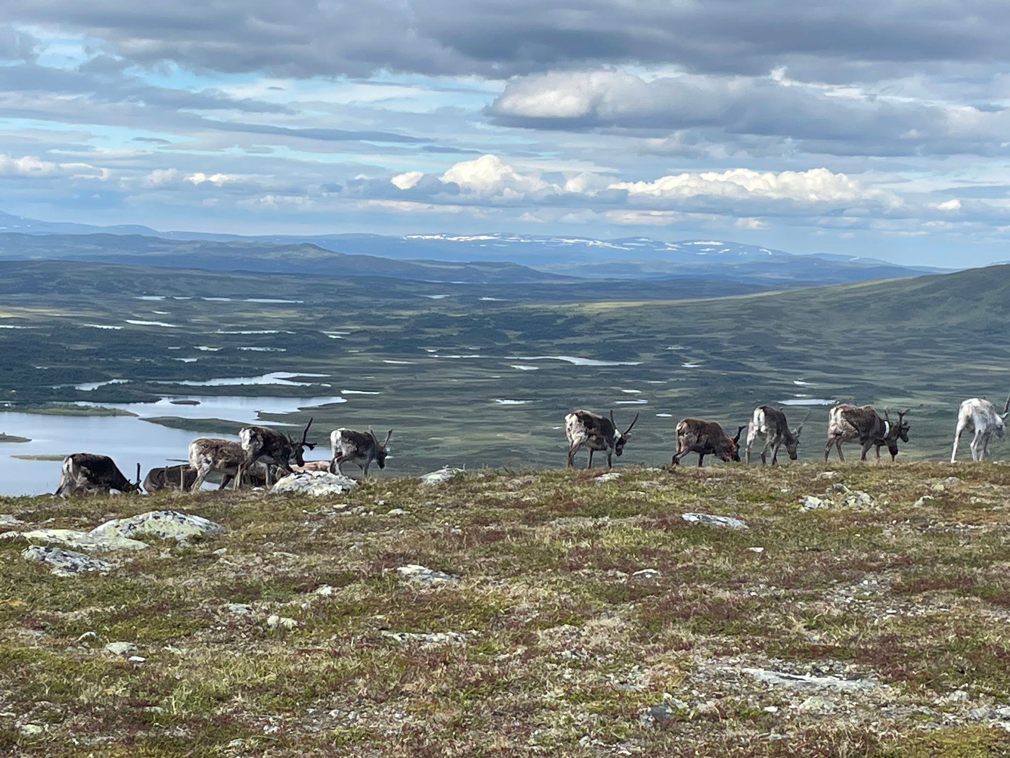 Stuga i Funäsdalen med 6 bäddar #37468 – bild 2 av 18