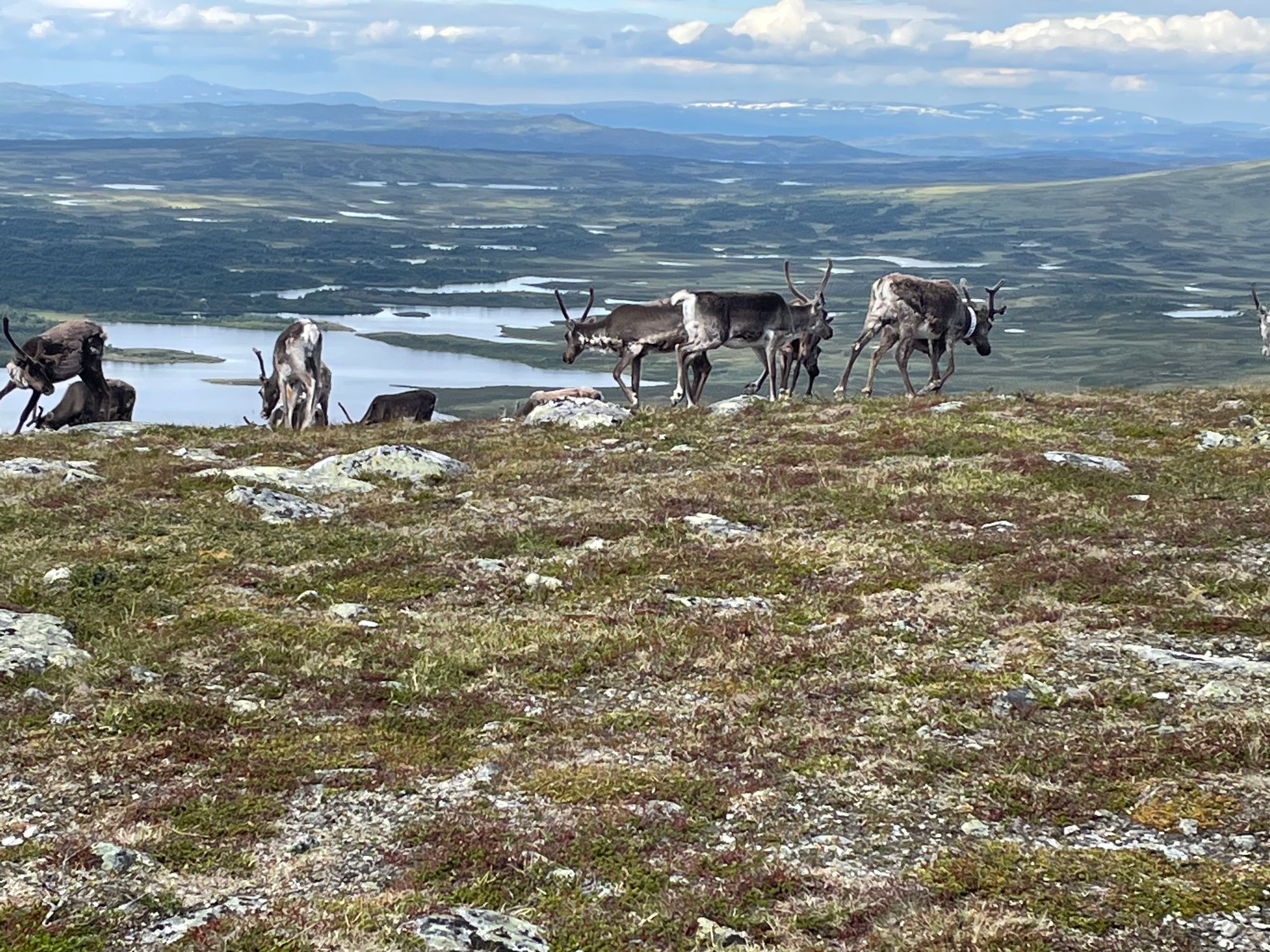 Stuga i Funäsdalen med 6 bäddar #37468 – bild 13 av 18