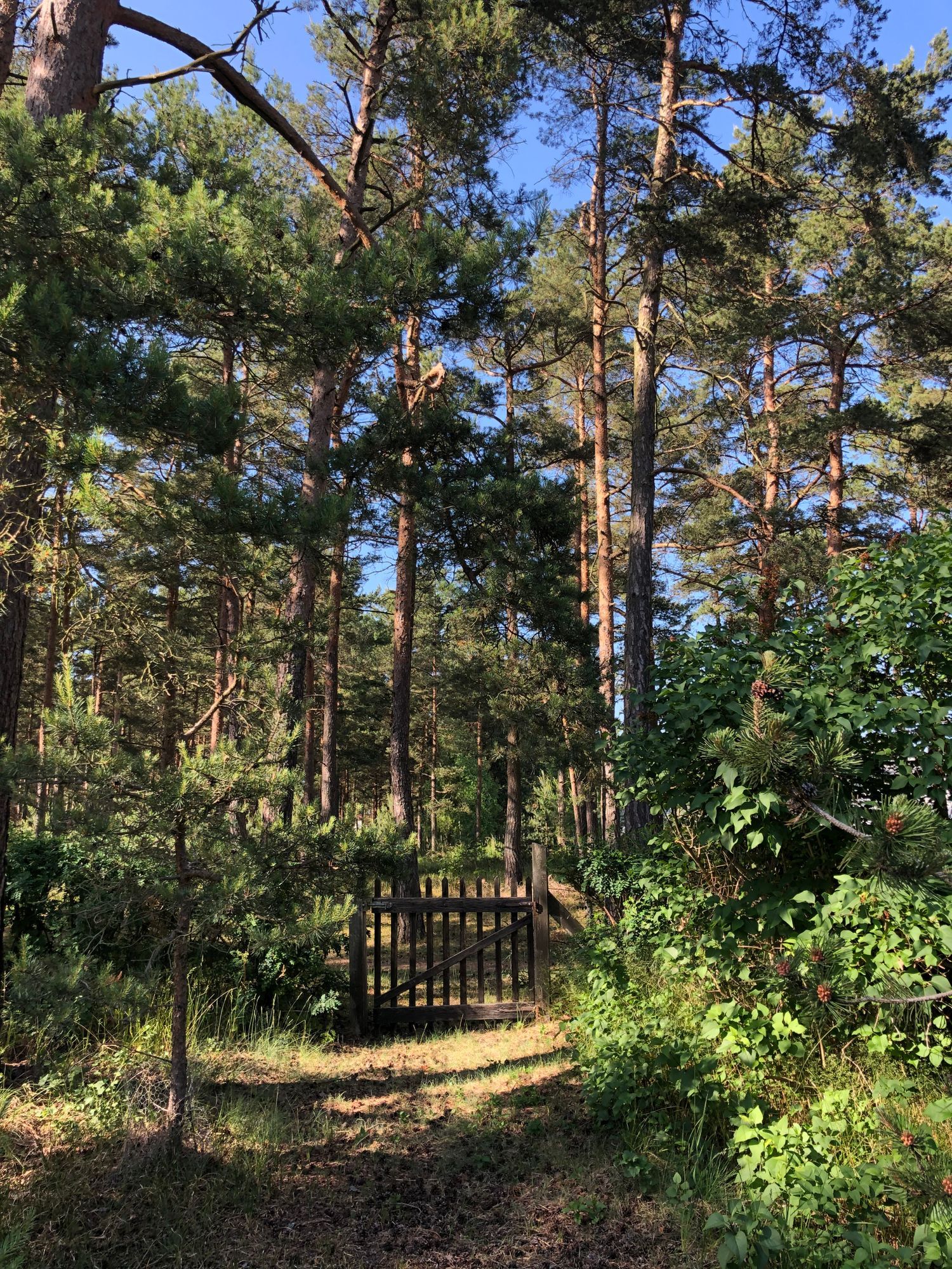 Sommarstuga på stor privat tomt – bild 20 av 21