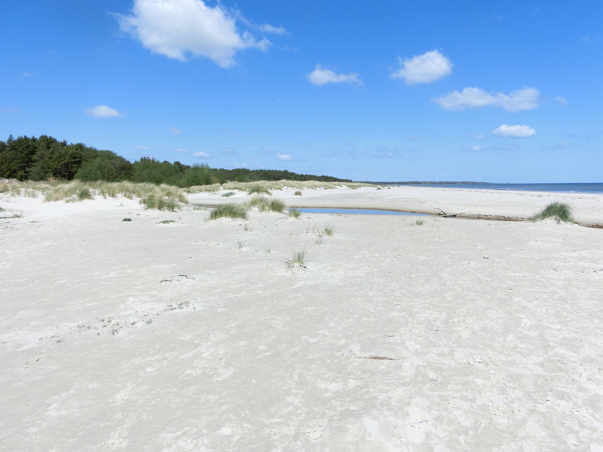 Havsnära lägenhet Österlen, Sandby, Mälarhusen – bild 17 av 24