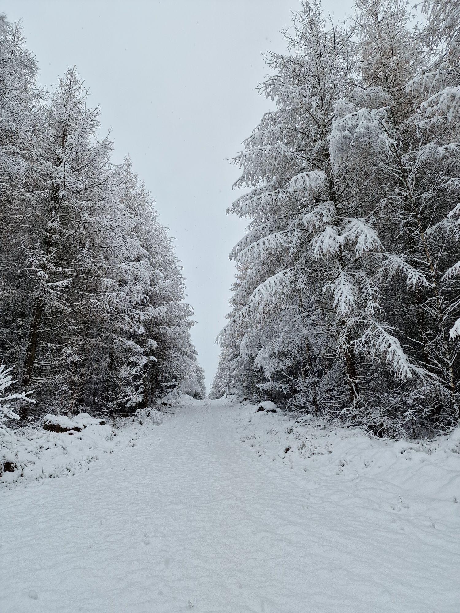 Skogsnära stuga i Ludvigsborg – bild 7 av 23