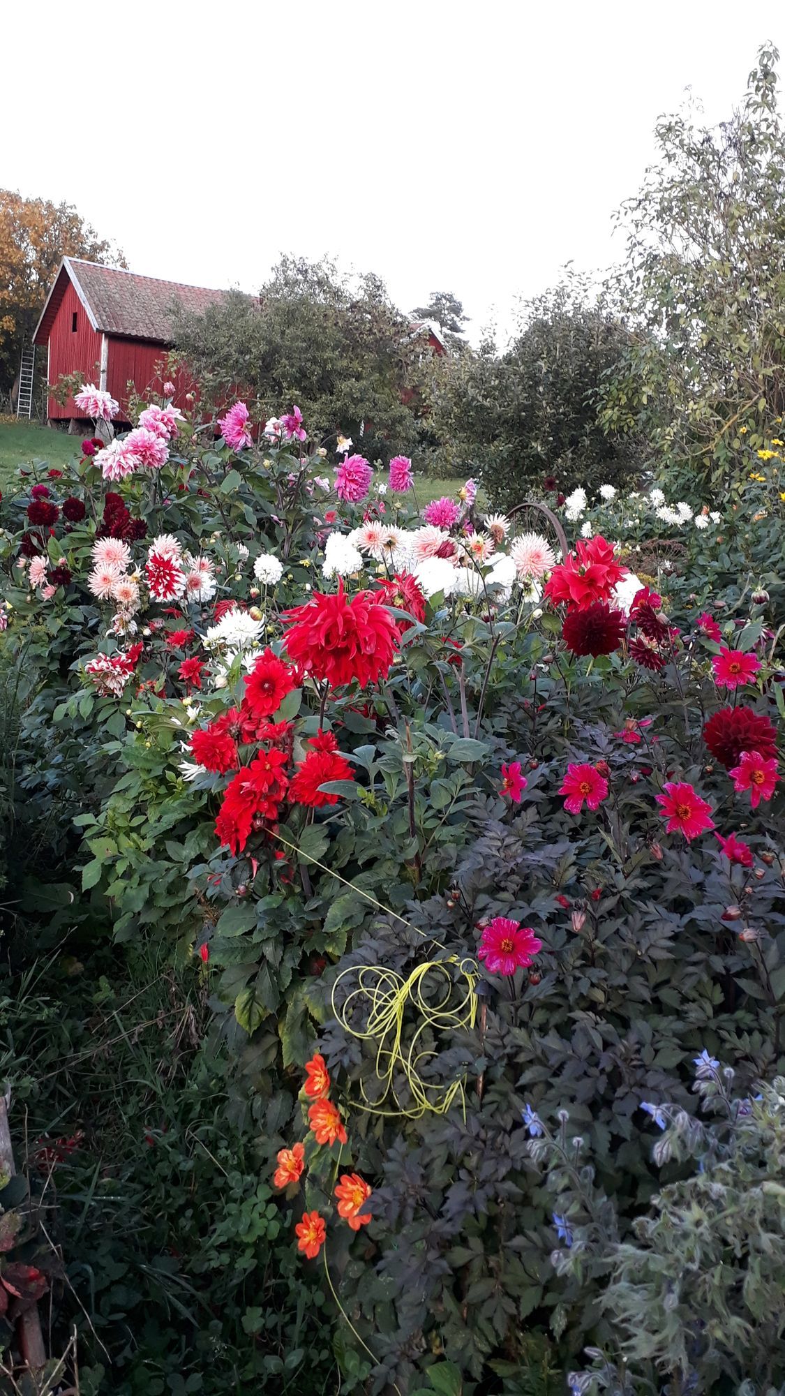 Bo på lantgård nära sommarland o trandansen – bild 20 av 23