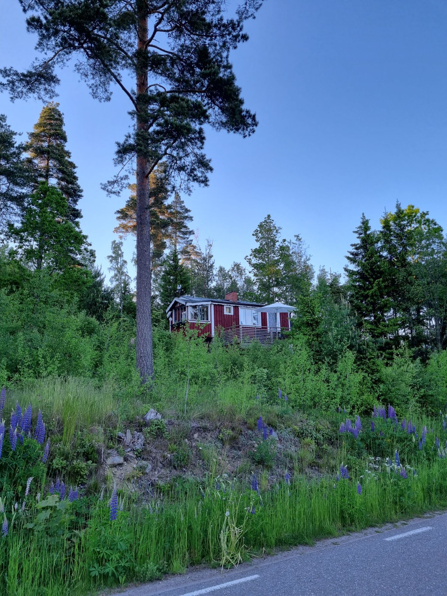 Liten stuga med sjöutsikt – bild 5 av 22