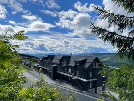 Åre Sadeln/Björnen(ski in/ski out+nära längdskid.)