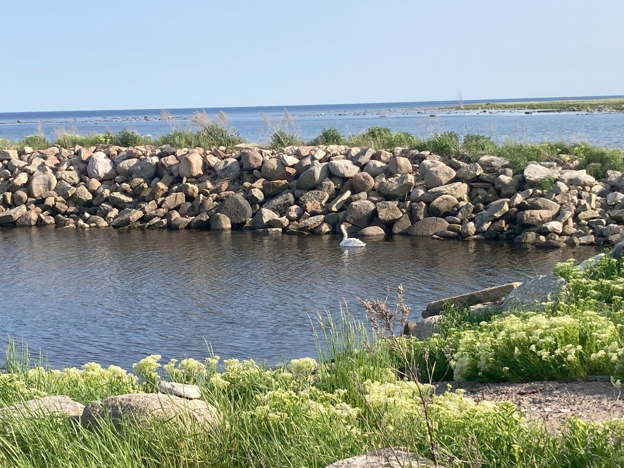 Strandnära ölandsidyll vid havet – bild 24 av 24