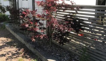 Ny renoverade stuga hyrs i Tylösand