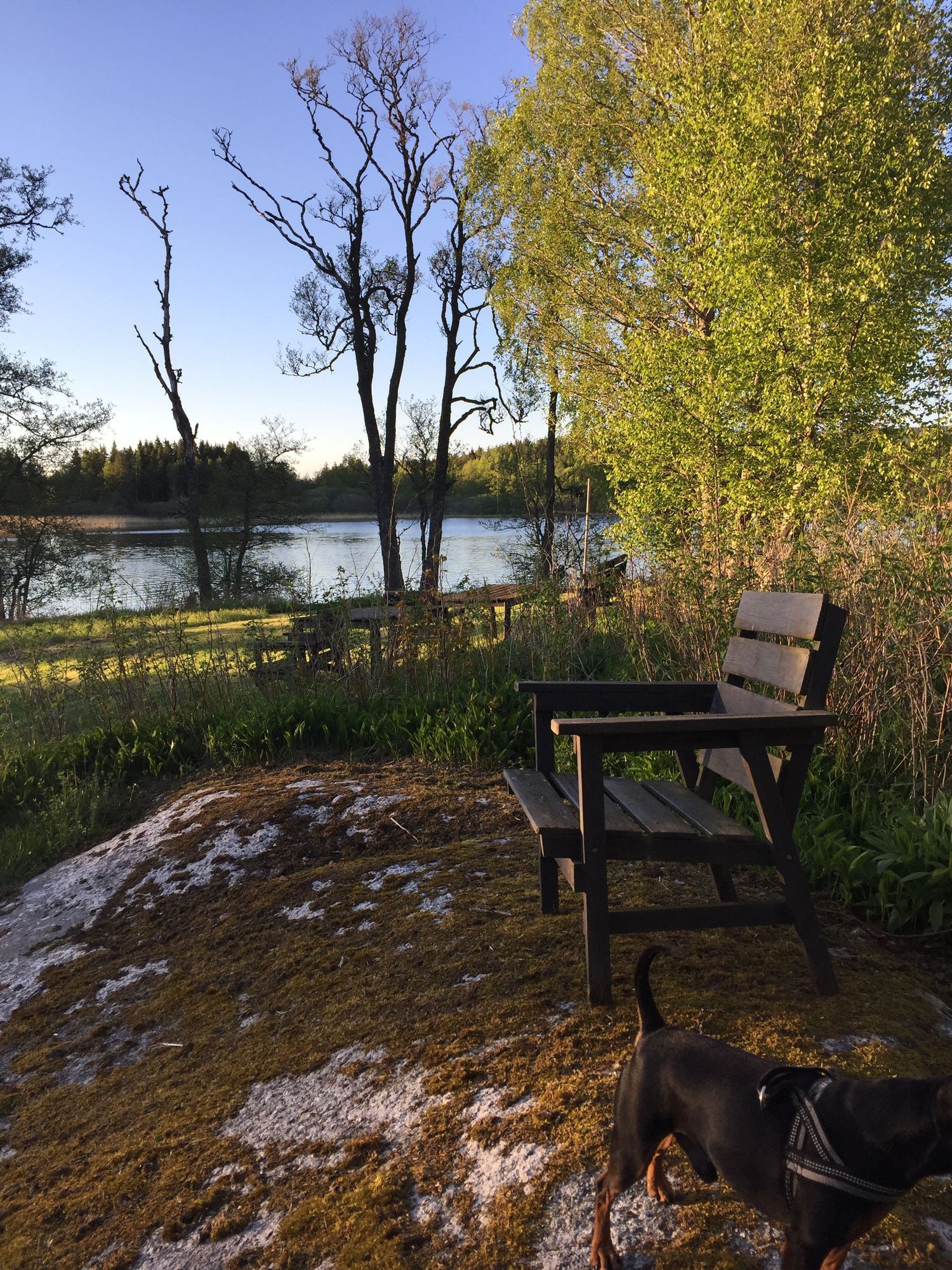 Sjöläge i Värmland – bild 7 av 7