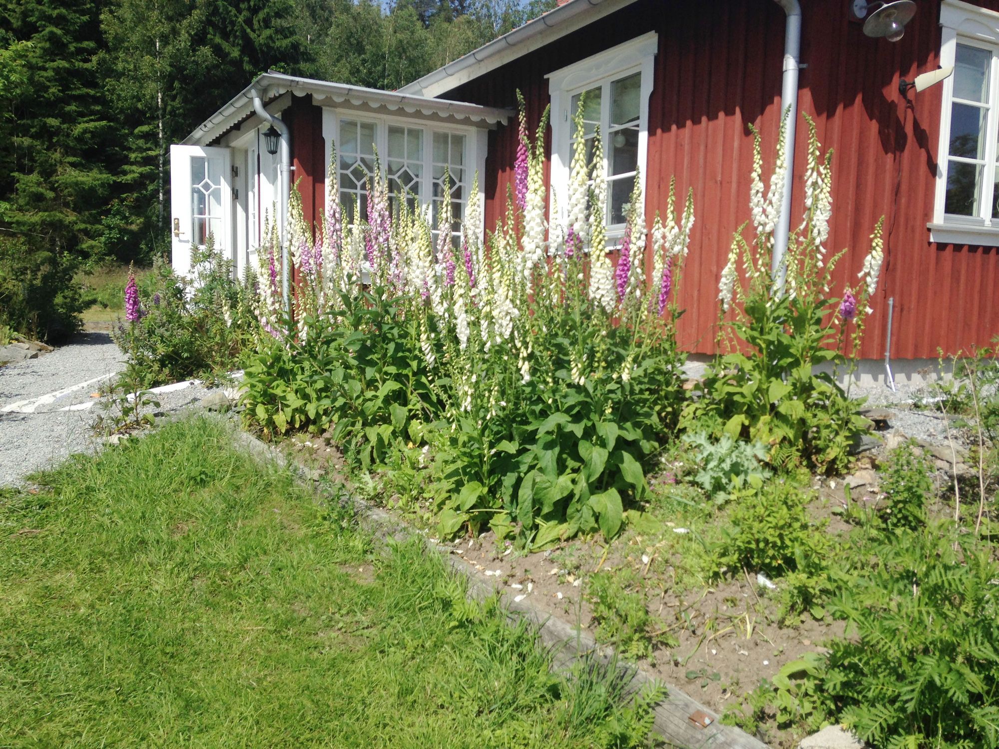 Sommarvilla på landet vid Varekil/Orust | SE09062 – bild 13 av 16