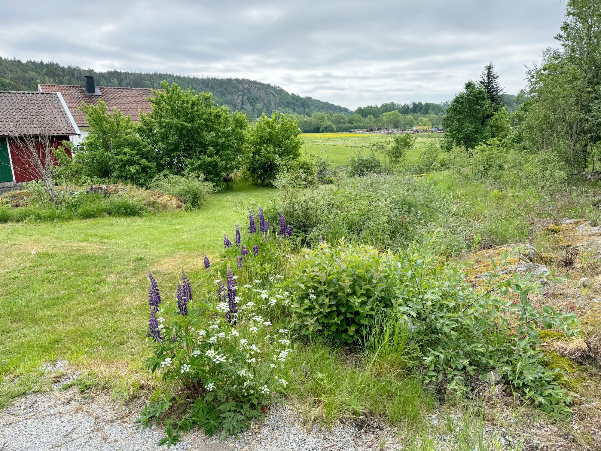 Sommarvilla på landet vid Varekil/Orust | SE09062 – bild 16 av 16
