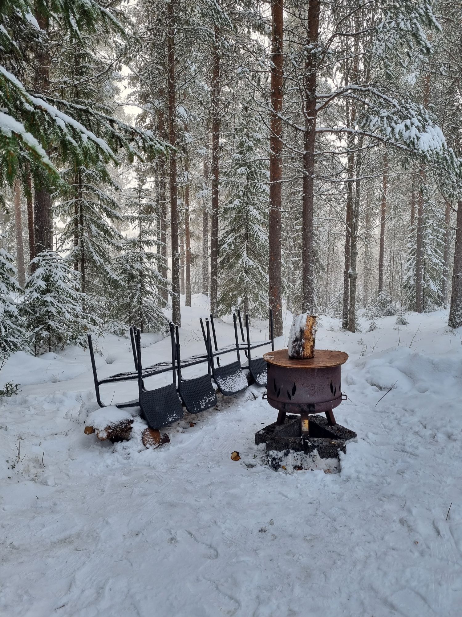 Fjällstuga nära Björnvallen med badtunna & bastu – bild 15 av 15