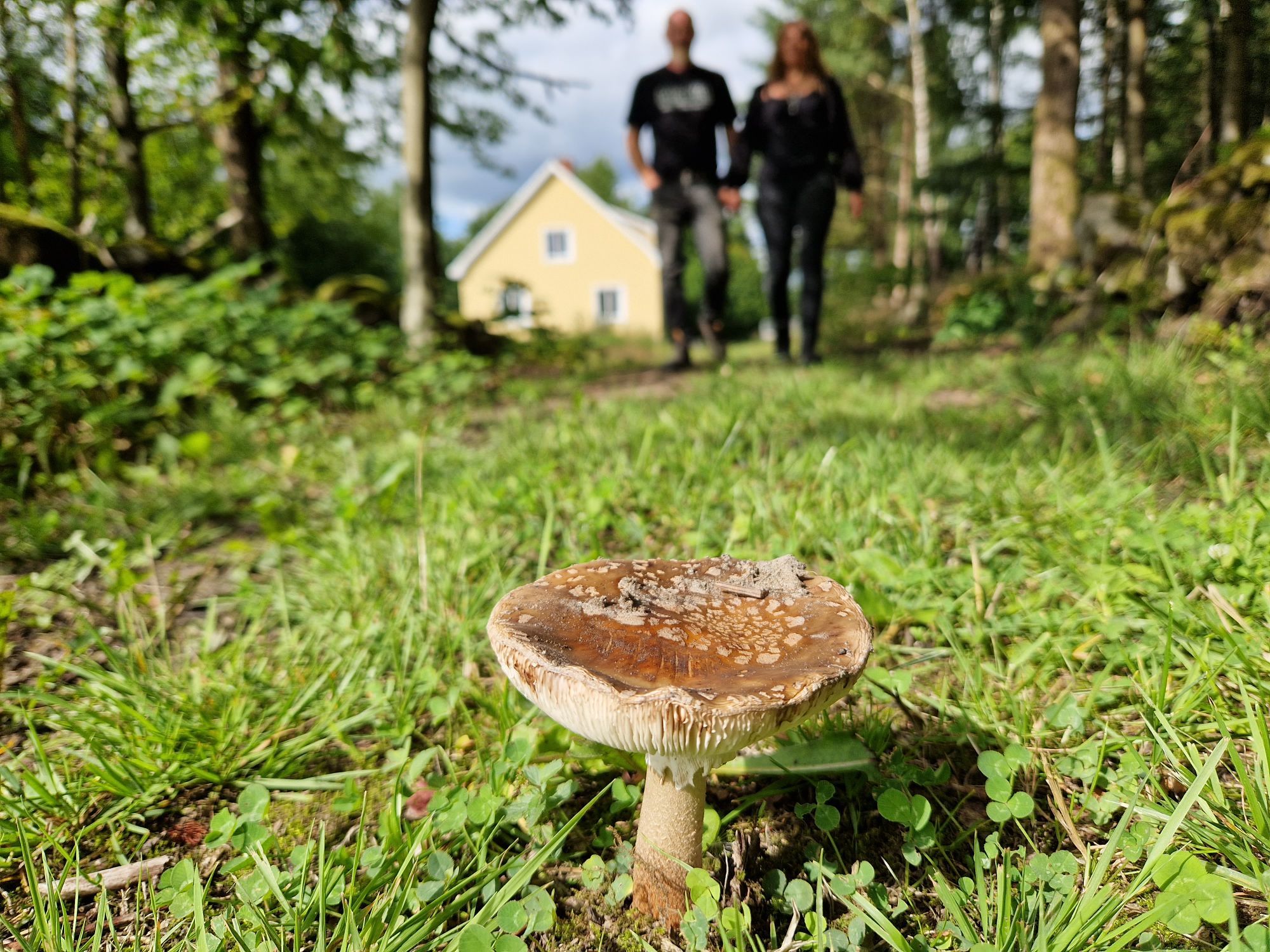 Semesterboende på Linderödsåsen, Hörby Kommun