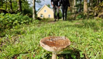 Semesterboende på Linderödsåsen, Hörby Kommun