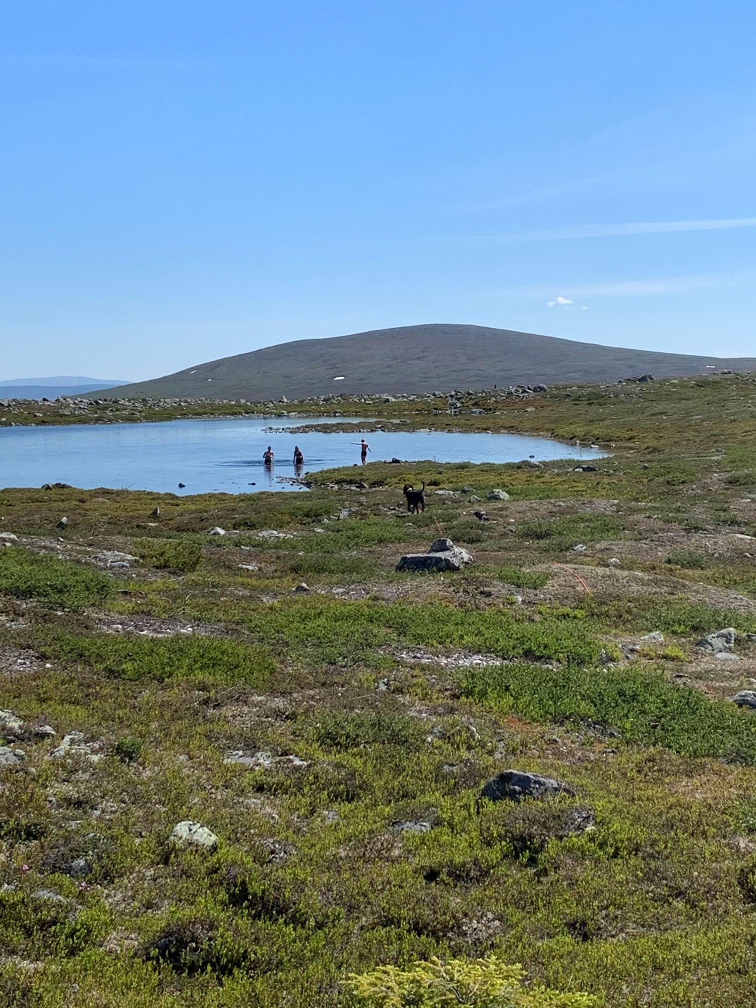 Fin lägenhet nära till slalombacken Grövelfjäll – bild 16 av 20