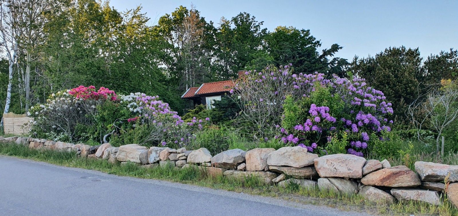 Falkenberg-Ringsegård-Skrea-800 m till stranden. – bild 10 av 24