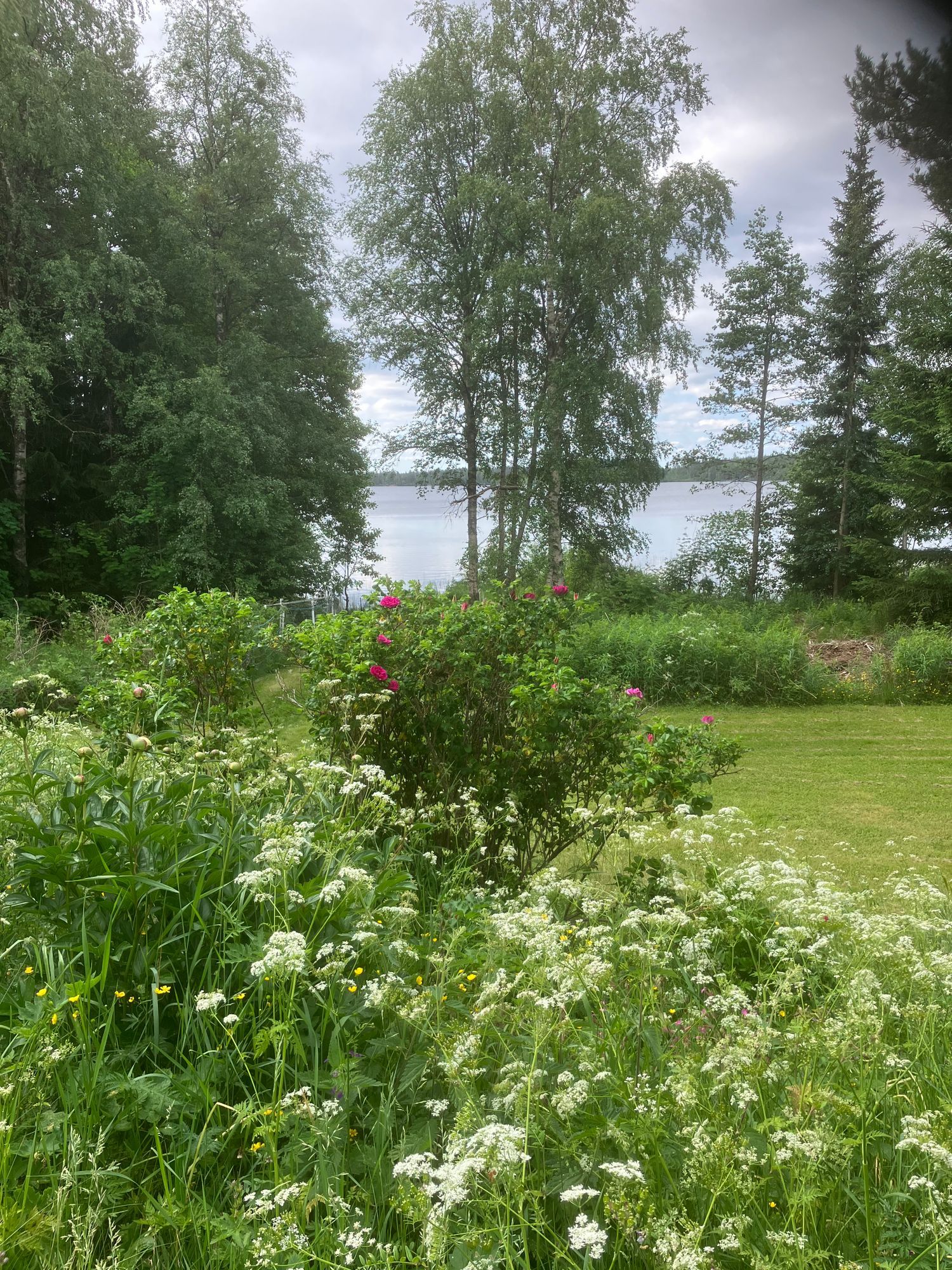 Stuga i gammal dalaby med sjötomt. – bild 2 av 24