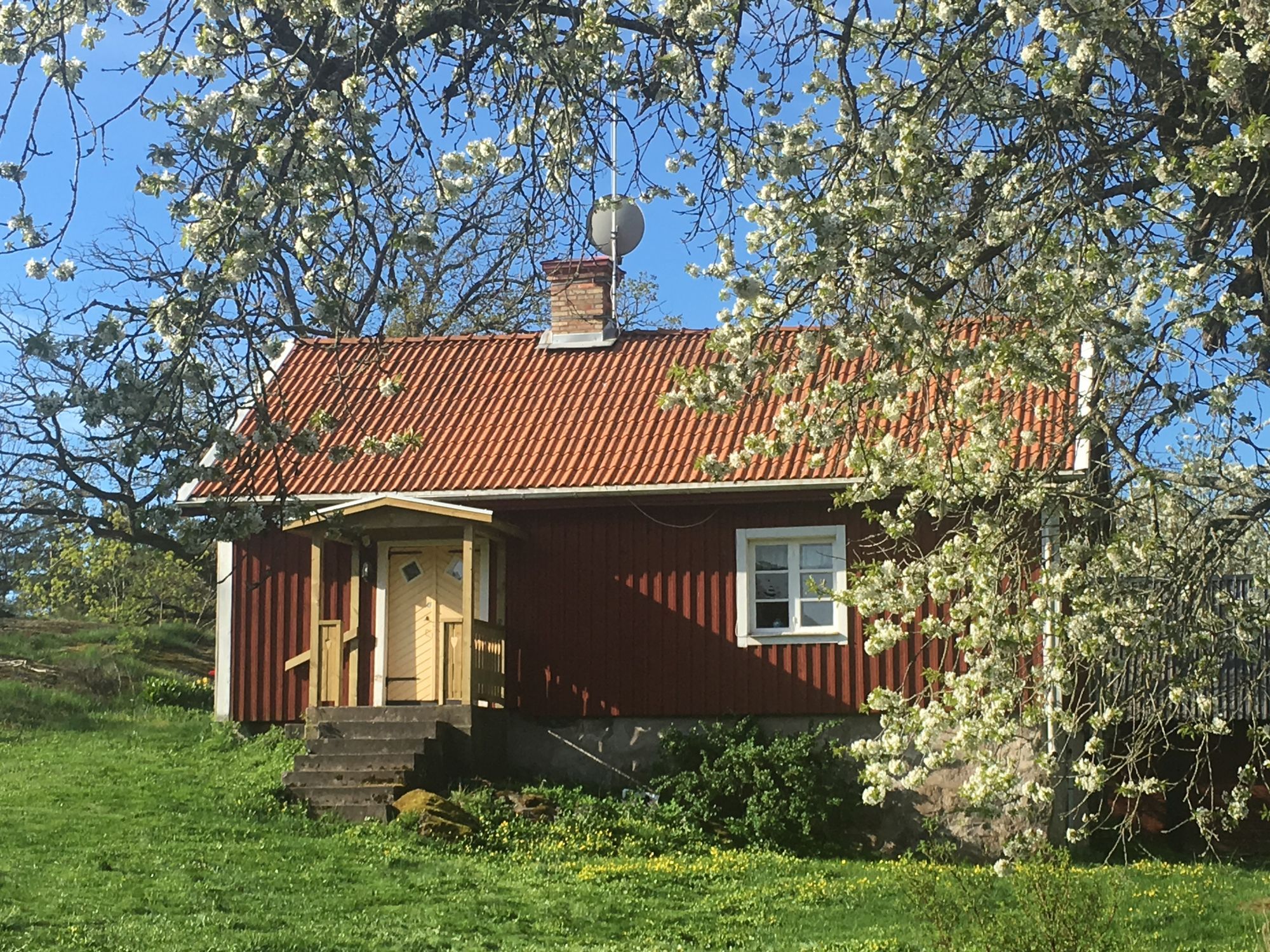 Stuga på bondgård med mjölkkor och kalvar