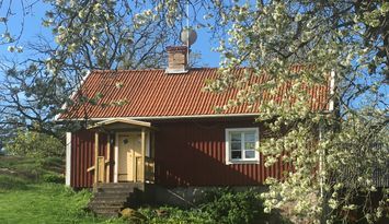 Stuga på bondgård med mjölkkor och kalvar