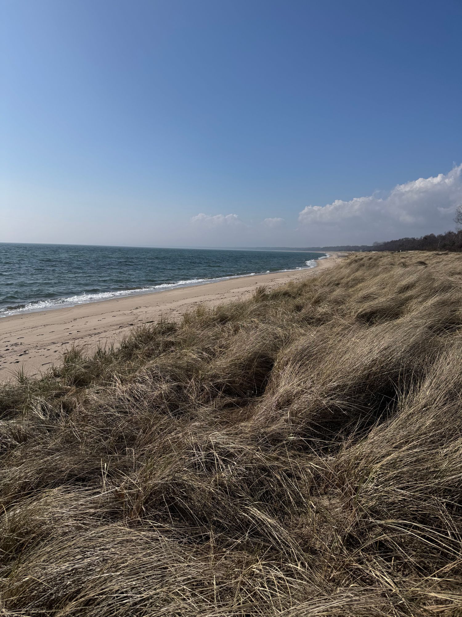 Stuga 100 m från havet i lugna Nybrostrand (Ystad) – bild 15 av 16