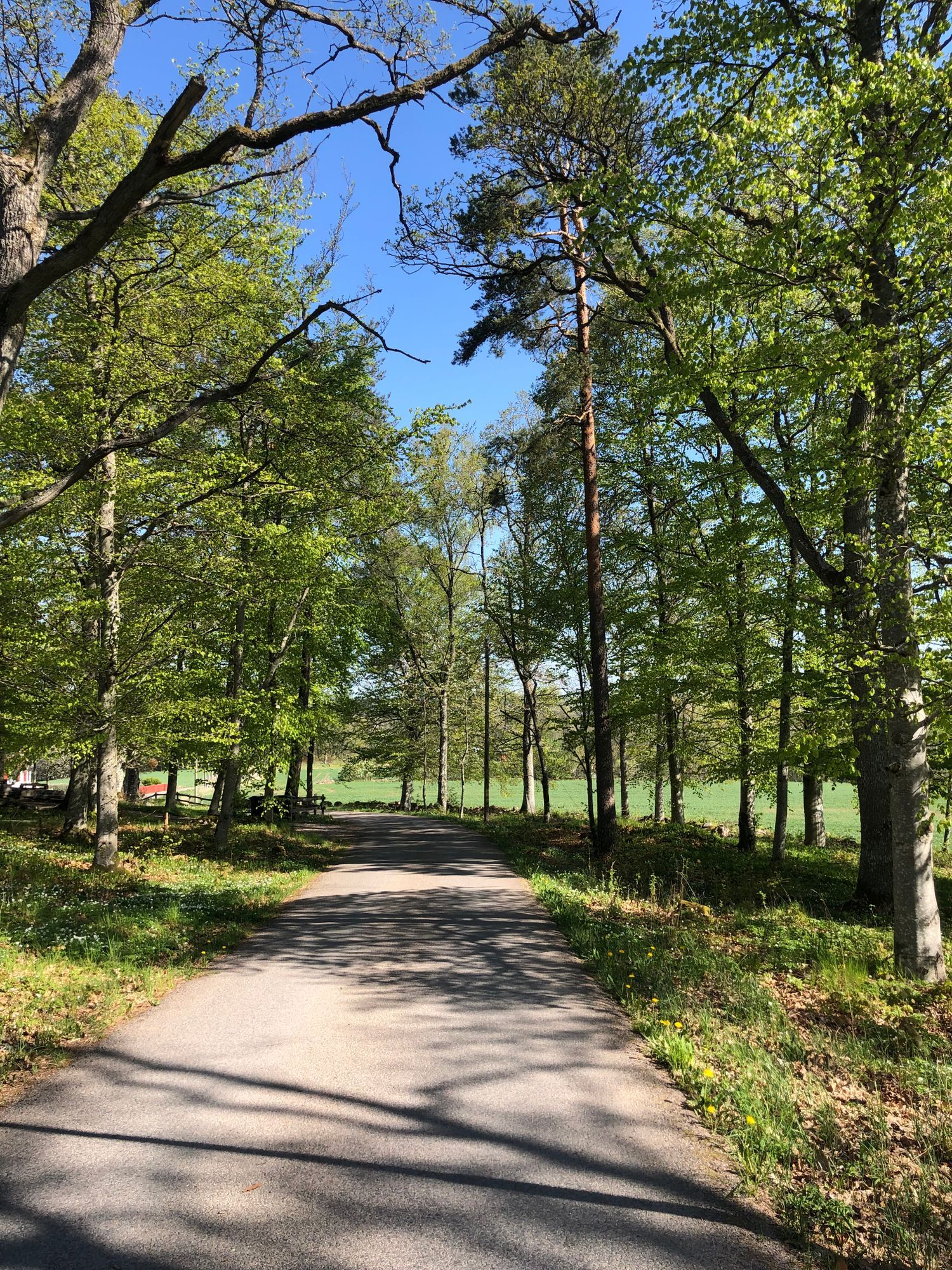 Hus på lantgård nära sjö, skog och staden Växjö – bild 7 av 24