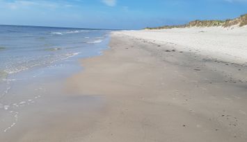 Österlen: Sommarhus vid Sandhammarens strand