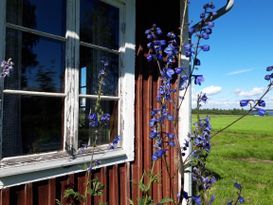 Mysig stuga i allmogestil, Sandnäset nära Luleälv.