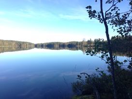 Hemtrevligt hus mitt i skogen nära egen sjö