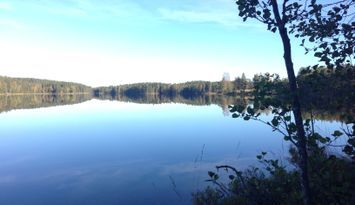 Hemtrevligt hus mitt i skogen nära egen sjö