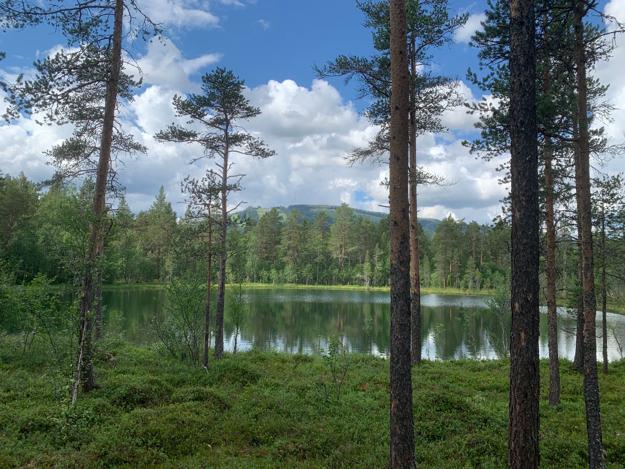 Stuga i Ljusnedal med 8 bäddar #35283 – bild 17 av 23