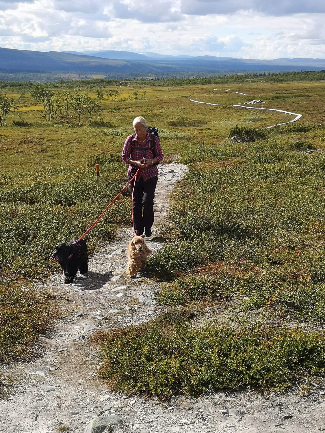 Stuga i Ljusnedal med 8 bäddar #35283 – bild 14 av 23