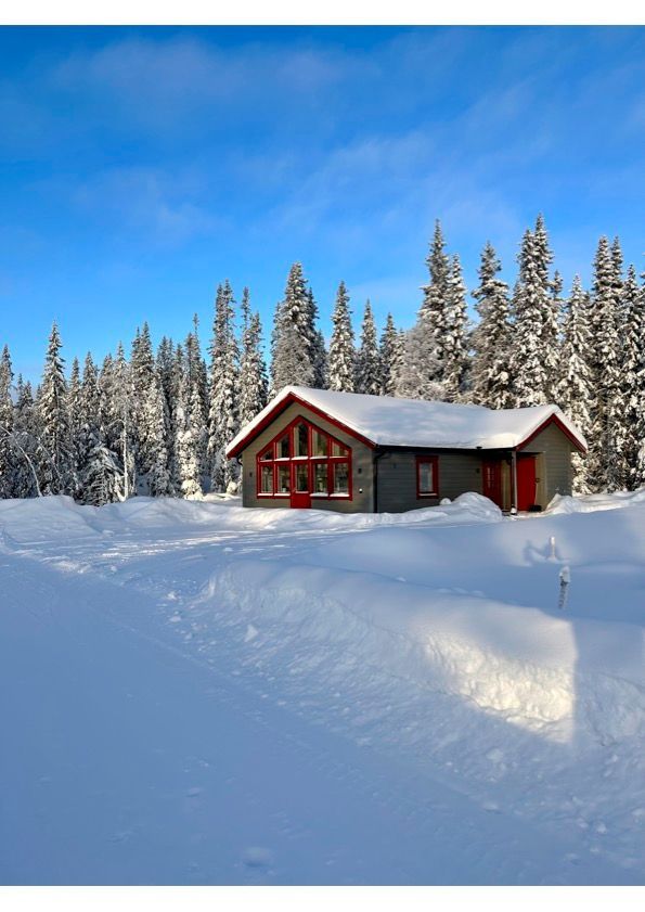 Nybyggd fjällstuga i Björnliden, Grövelsjön – bild 7 av 20
