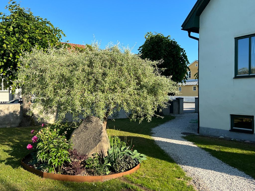 Central mysig villa i Visby – bild 23 av 24