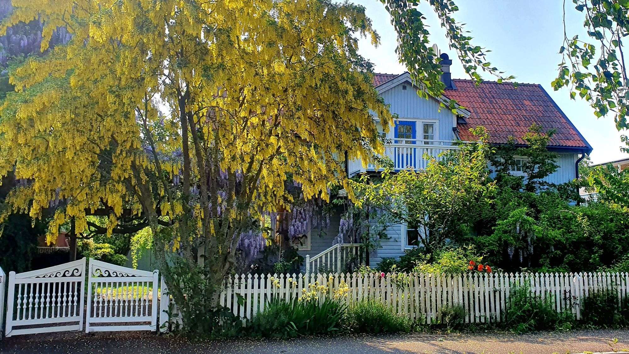 Villa Blåregnet