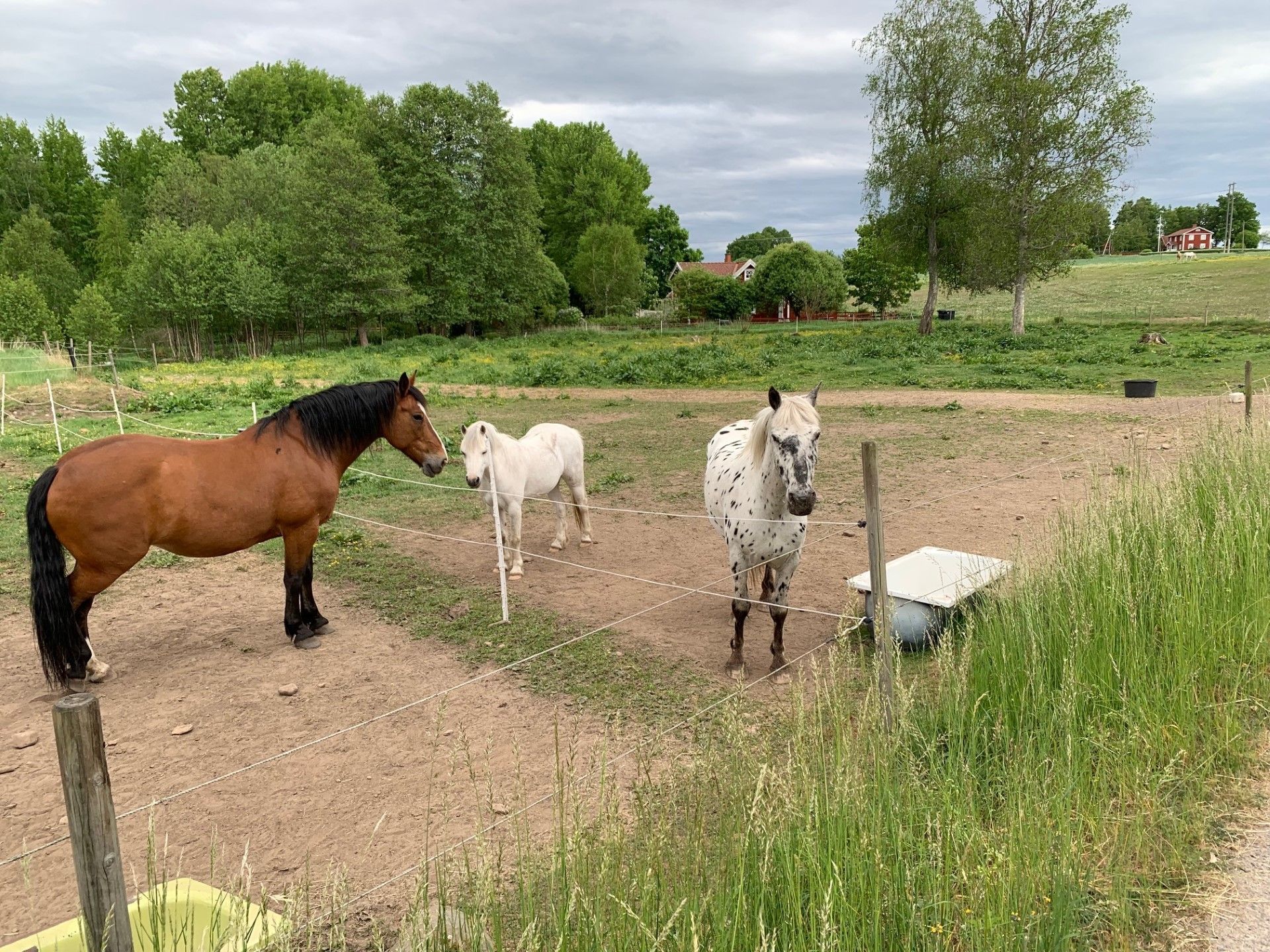 Hus på lantgård nära sjö, skog och staden Växjö – bild 6 av 24